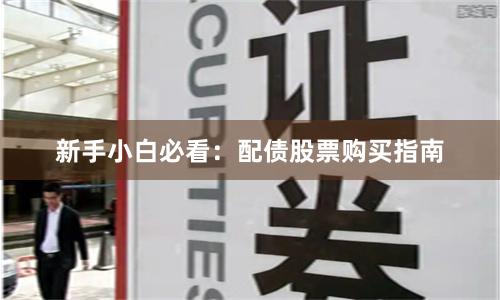 新手小白必看：配债股票购买指南