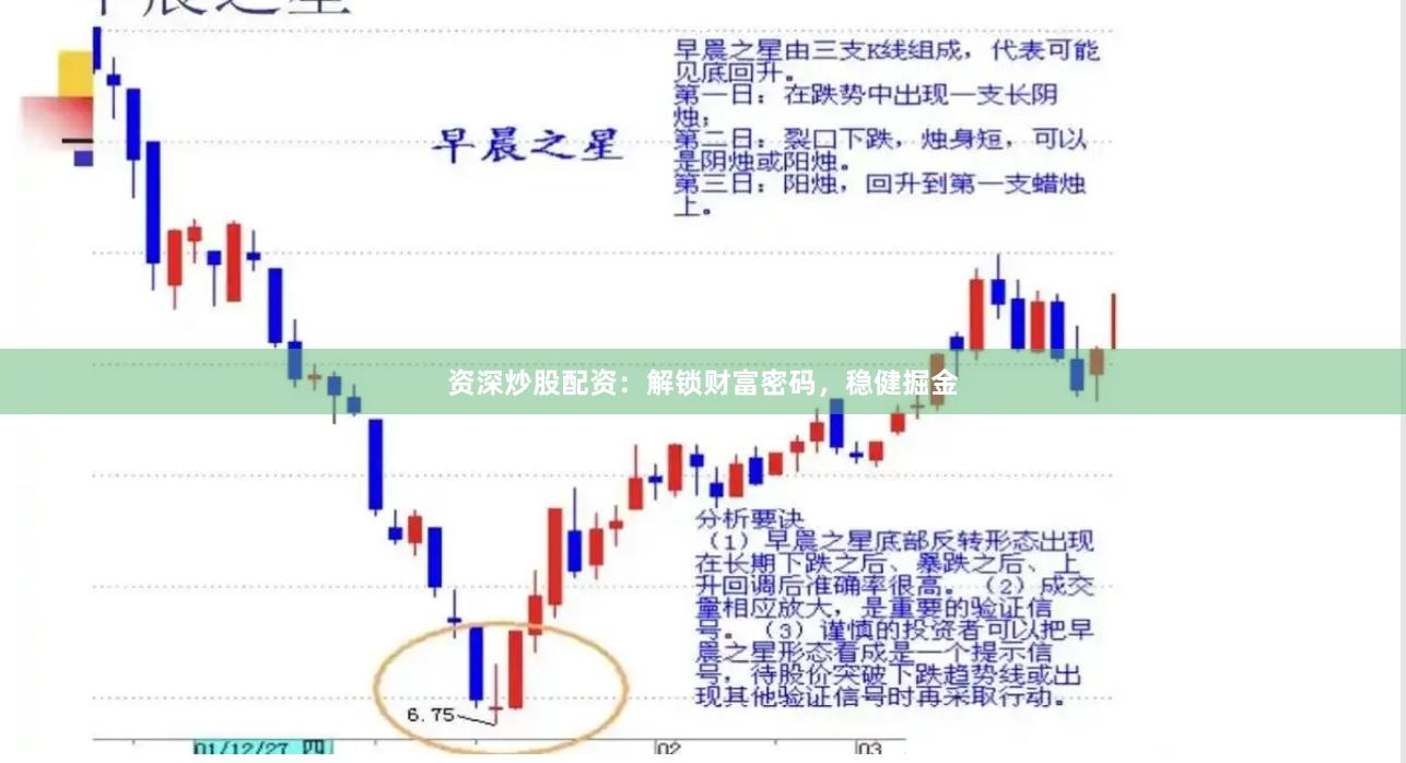 资深炒股配资:解锁财富密码,稳健掘金