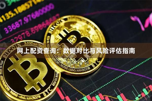 网上配资查询：数据对比与风险评估指南